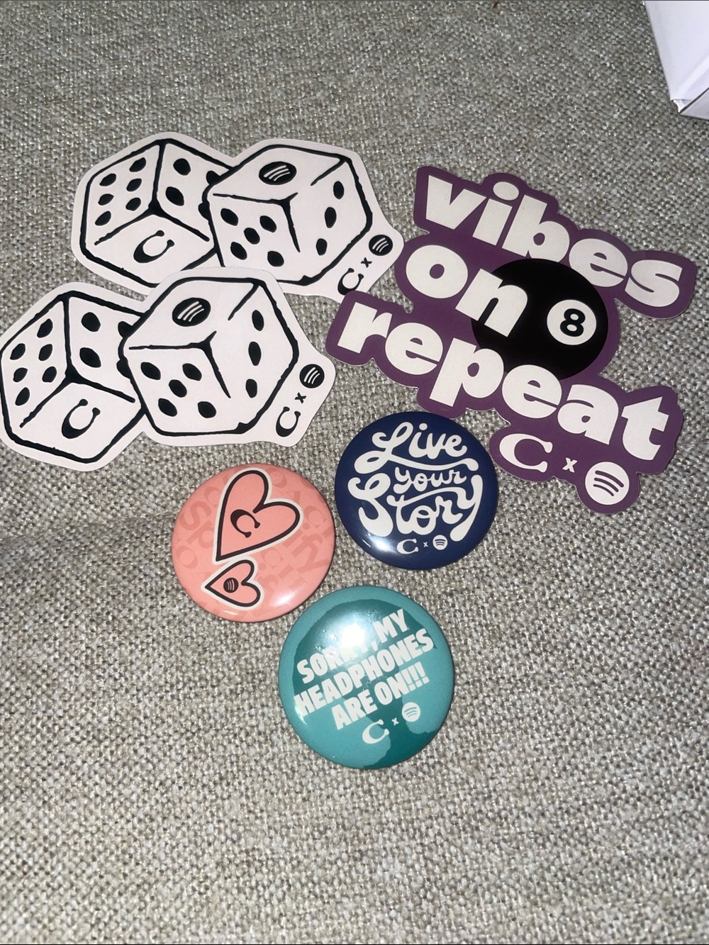 Coach pin set
